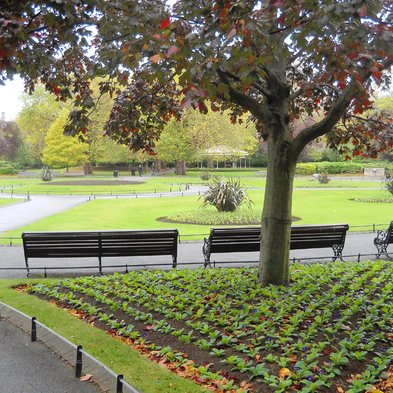 St Stephen's Green