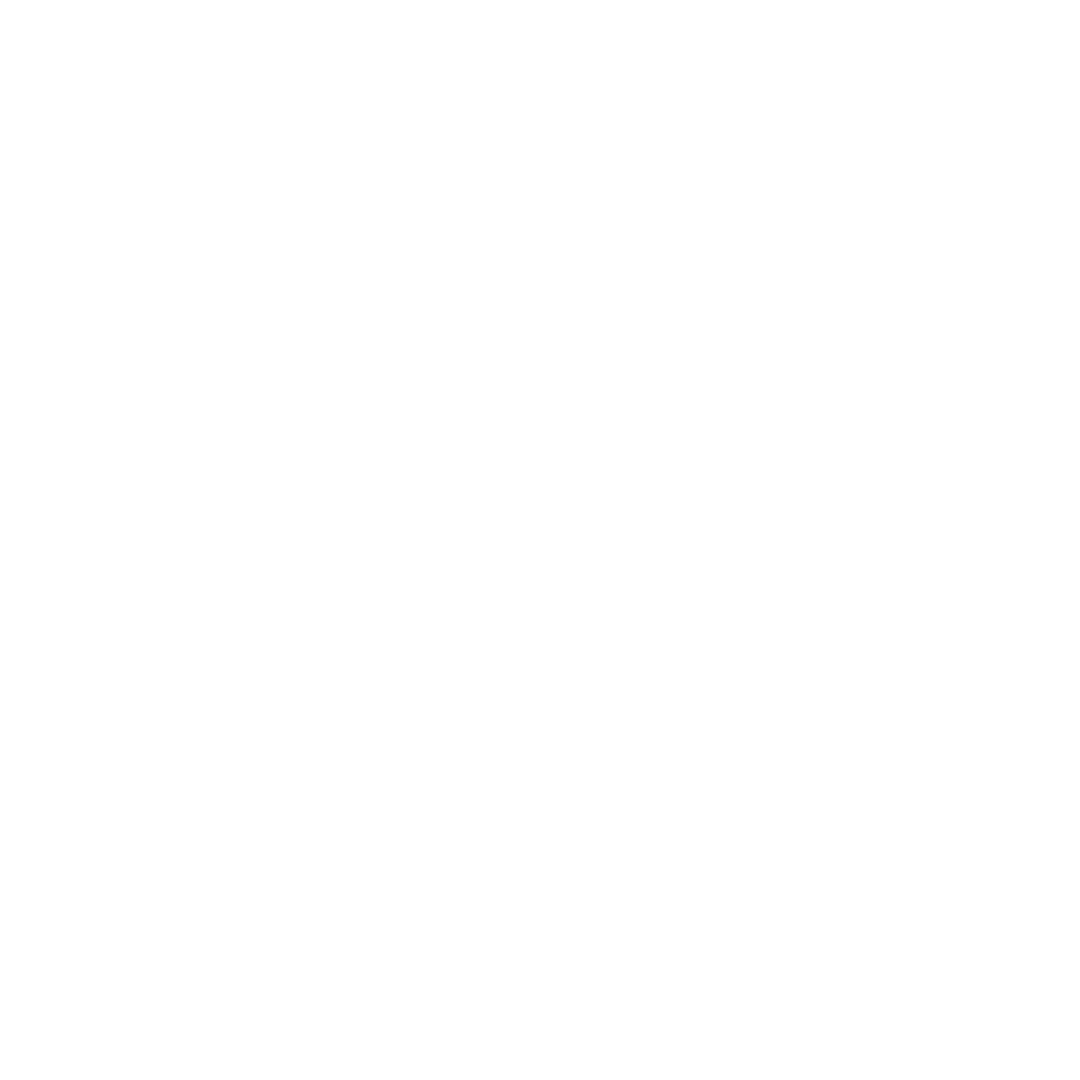 CHAUFFEUR