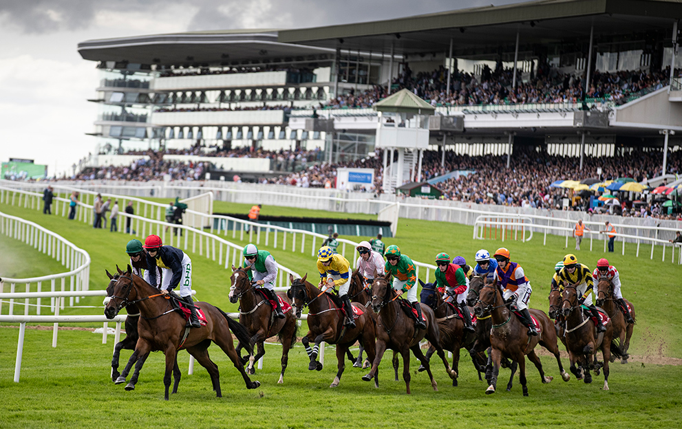 Race Meetings