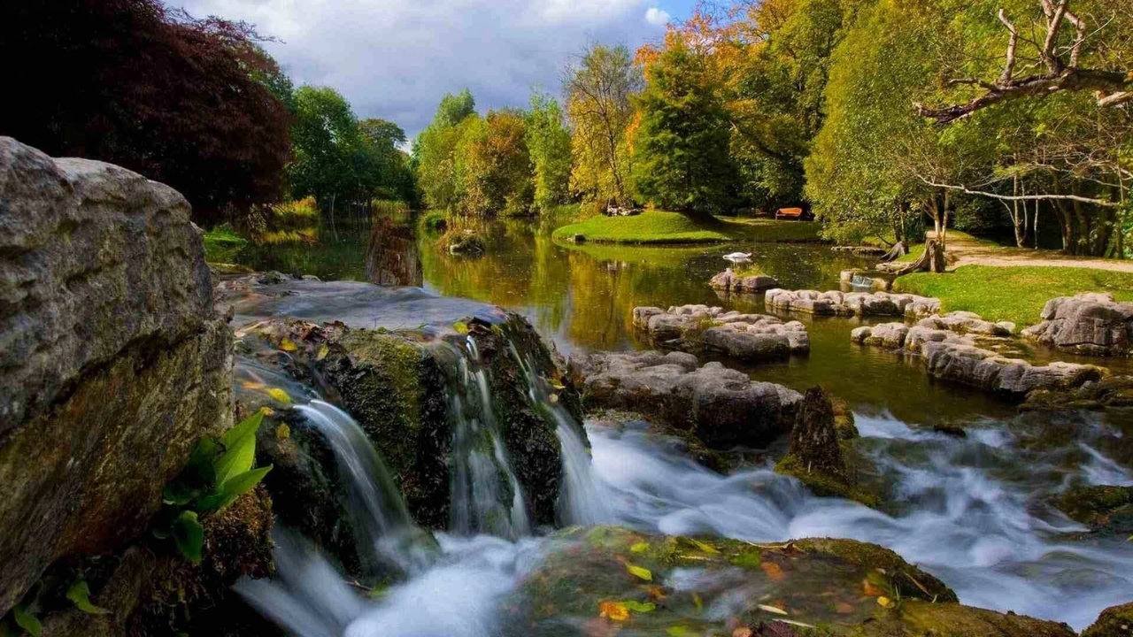 National Stud & Japanese Gardens